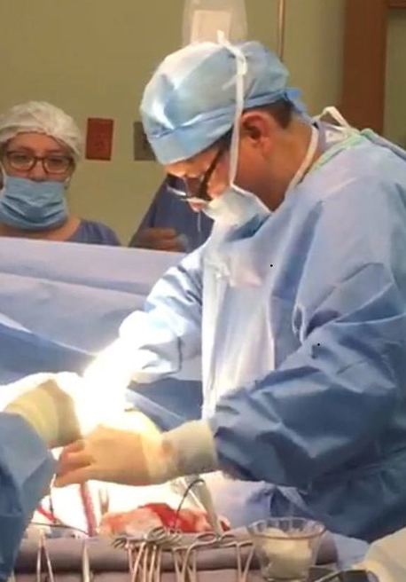 Описание изображения